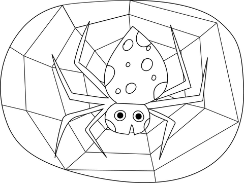 Spider On A Spider Web Coloring Page